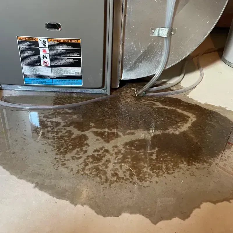 Appliance Leak Cleanup in Jewell County, KS